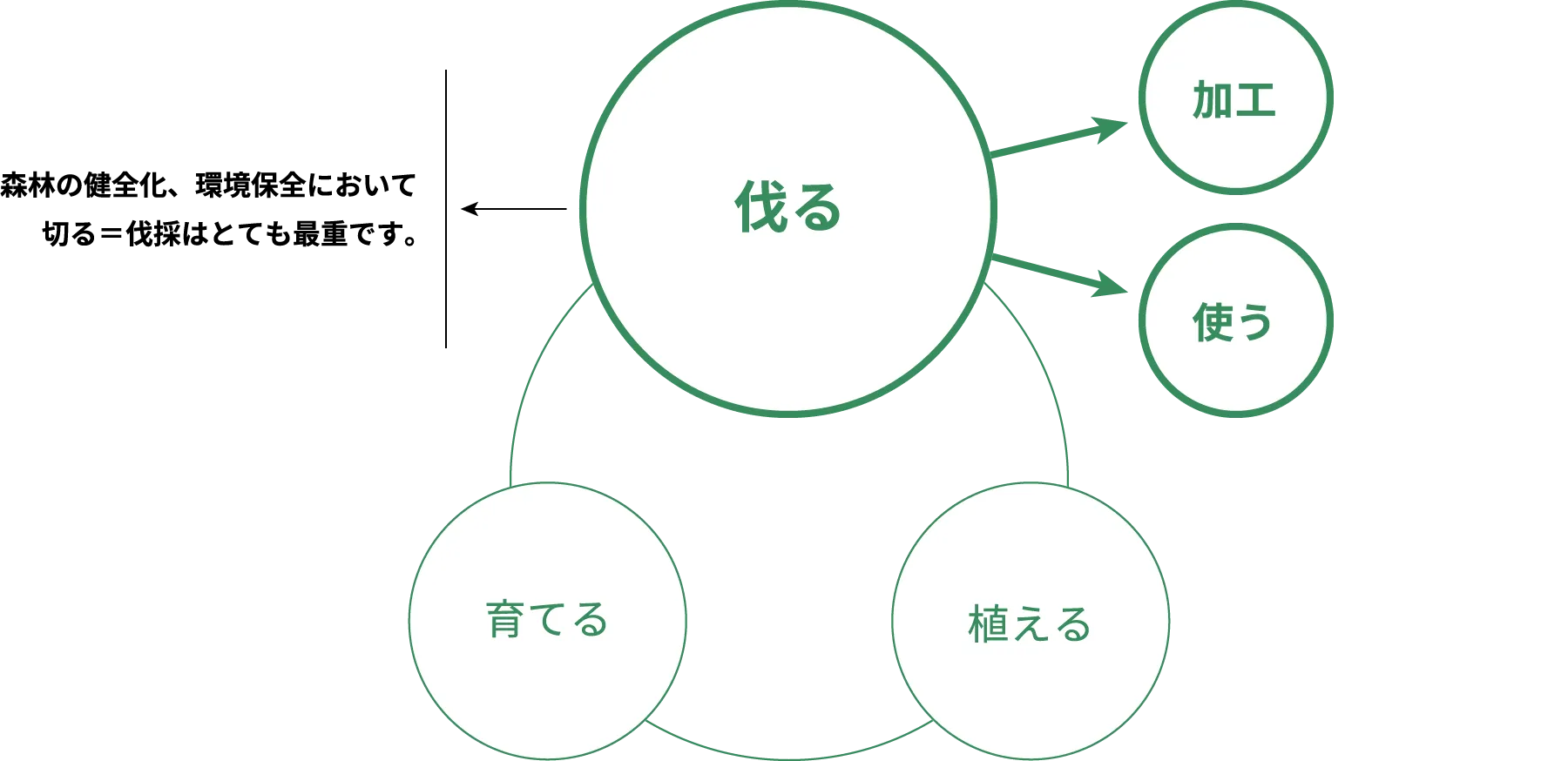 伸和産業の推進する林業